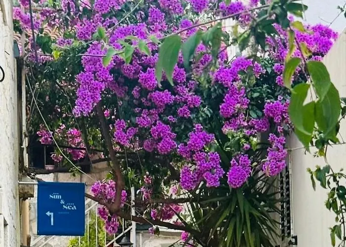 アパート アパートメント　サン ＆ シー スプリト